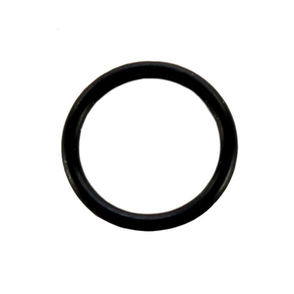 O-ring, Smaller, P1000G, P1000L (Pipette Supplies)